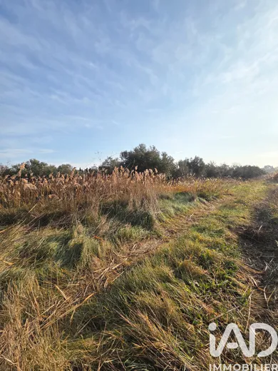 Terrain agricole à Pia (66380)