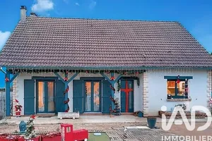 Traditional house in Neuvy-en-Sullias (45510)