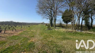 Château à Monnières (44690)