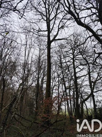 Terrain à La Chapelotte (18250)