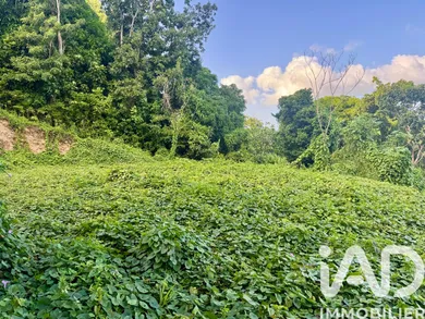Terrain à Les Abymes (97139)