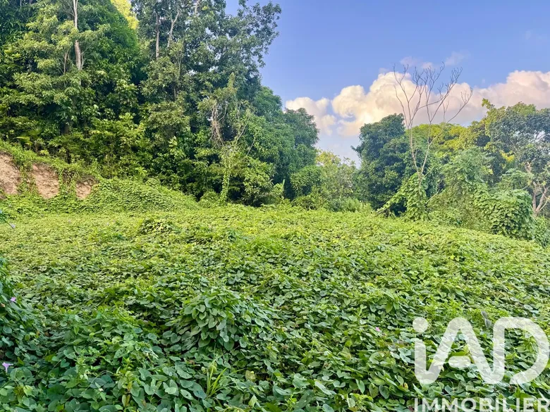 Terrain à Les Abymes (97139) · 160 000 €