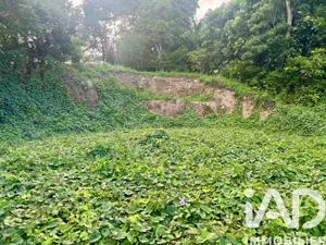Building plot in Les Abymes (97139)