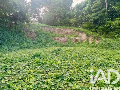 Land in Les Abymes (97139)