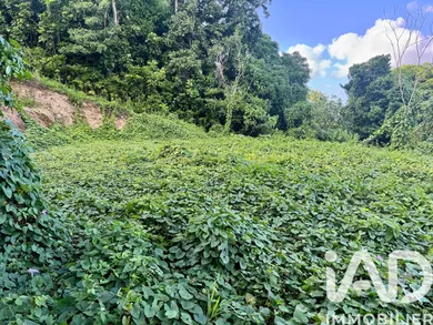 Land in Les Abymes (97139)