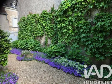 Village house in Le Grand-Pressigny (37350)