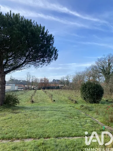 Land in Coëx (85220)