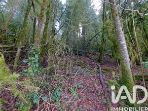 Terrain à NANCUISE (39270)