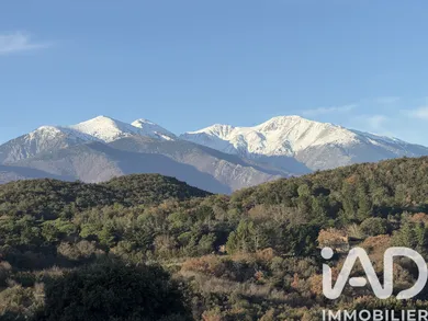 Maison à Oms (66400)