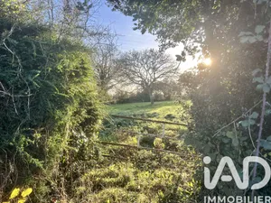 Terrain à bâtir à Picauville (50360)
