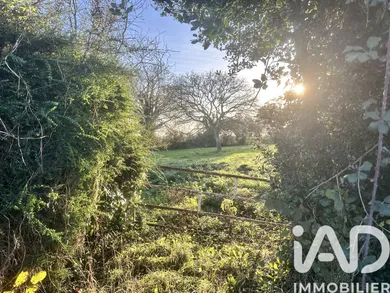 Terrain à bâtir à Picauville (50360)