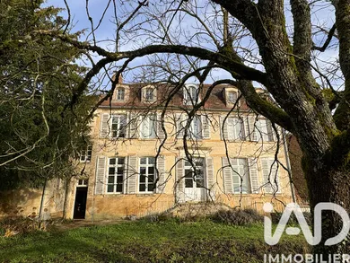 Mansion in Treigny perreuse sainte colombe (89520)