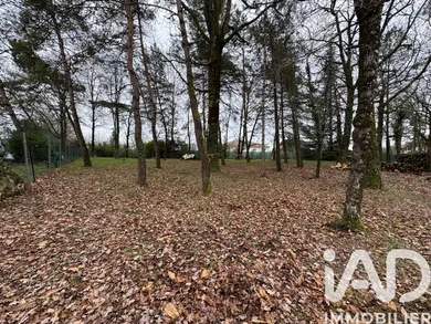 Land in Dirac (16410)