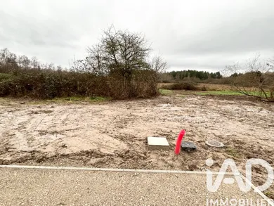Building plot in Pruniers-en-Sologne (41200)