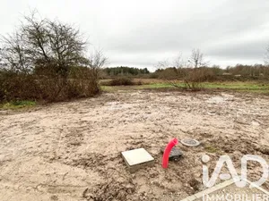 Terrain à bâtir à Pruniers-en-Sologne (41200)