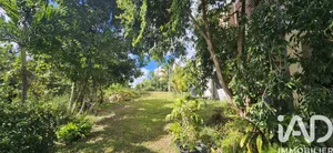 House in Sainte-Anne (97180)
