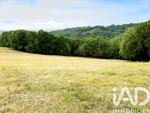 Land in Peyzac-le-Moustier (24620)
