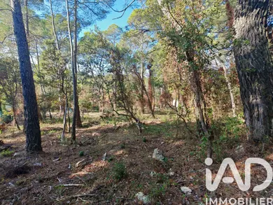 Building plot in Flayosc (83780)