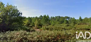 Land in Sainte-Eulalie-en-Born (40200)