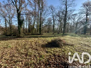 Terrain à bâtir à Cénac-et-Saint-Julien (24250)