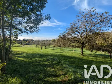 Land in Meyssac (19500)