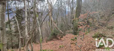 Terrain à saint georges des hurtires (73220)