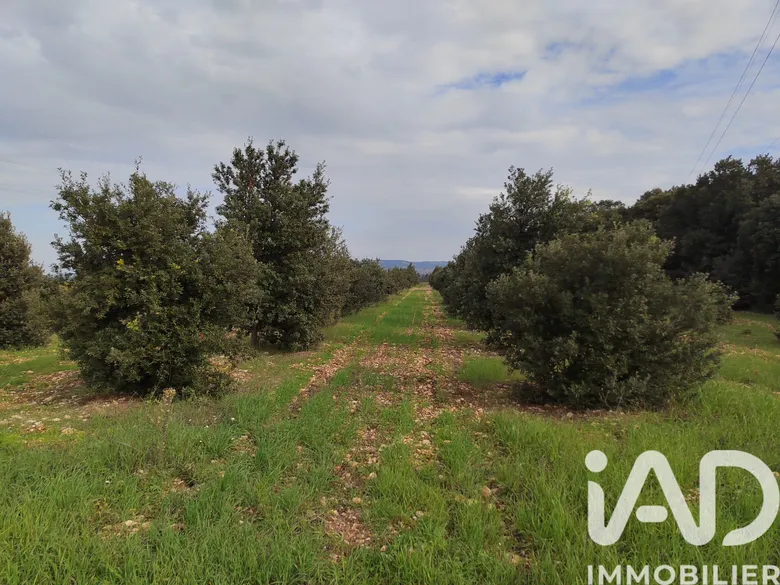 Terrain à SAINTE CECILE LES VIGNES (84290) · 39 000 €
