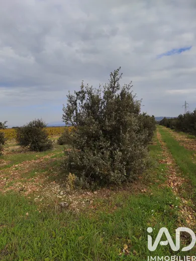 Land in SAINTE CECILE LES VIGNES (84290)