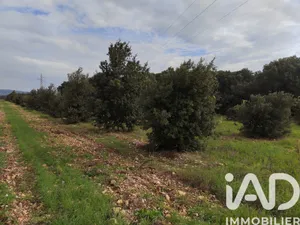 Land in SAINTE CECILE LES VIGNES (84290)