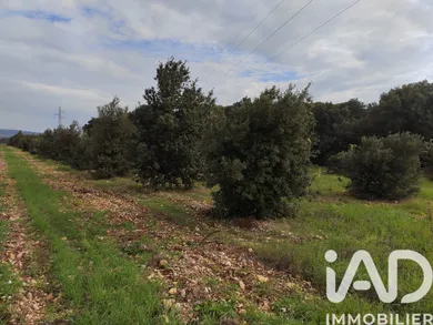 Land in SAINTE CECILE LES VIGNES (84290)