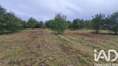 Building plot in Coudroy (45260)