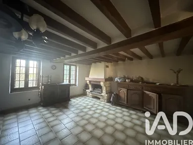 House in Ouzouer-des-Champs (45290)