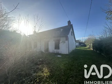 House in Ouzouer-des-Champs (45290)