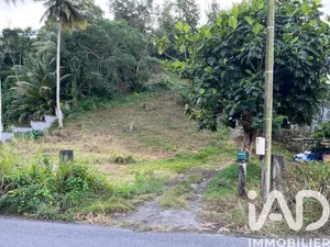 Terrain à LES ABYMES (97139)