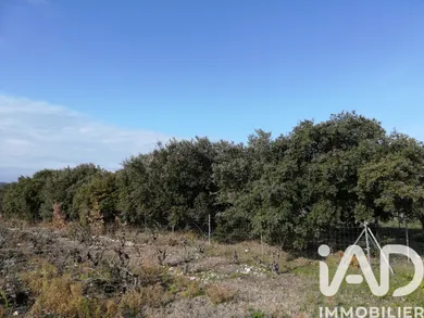 Land in SAINTE CECILE LES VIGNES (84290)