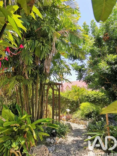 Maison à Sainte-Anne (97180)