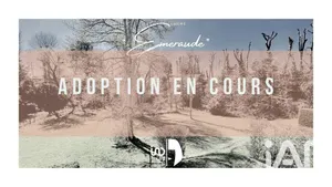 Apartment in Bois-Guillaume (76230)