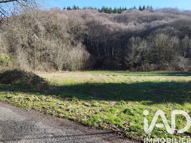 Terrain à bâtir à Sauclières (12230)