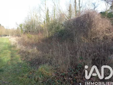Terrain loisirs à CITRY (77730)