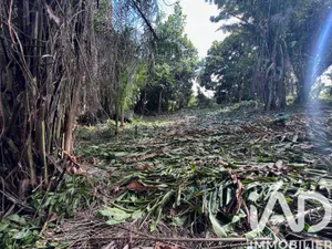 Terrain à Baie-Mahault (97122)