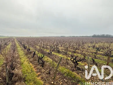 Land in Vernou-sur-Brenne (37210)