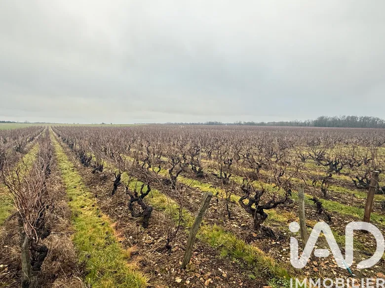 Terrain 30000 m² · à Vernou-sur-Brenne · 97 580 €