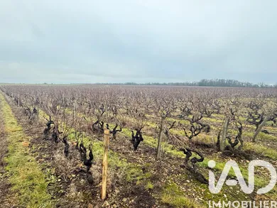 Land in Vernou-sur-Brenne (37210)