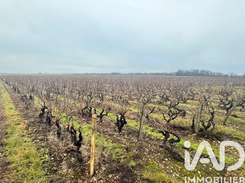 Terrain 20000 m² · à Vernou-sur-Brenne · 64 000 €