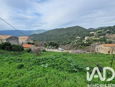 Terrain à Sollacaro (20140)