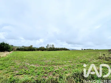 Terrain à RICRANGE (57220)