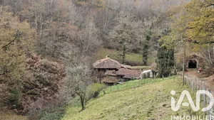 Mill in Saint-Cirgues (46210)