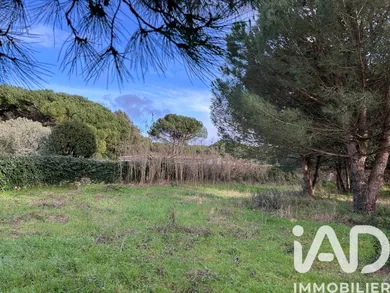 Building plot in La Flotte (17630)