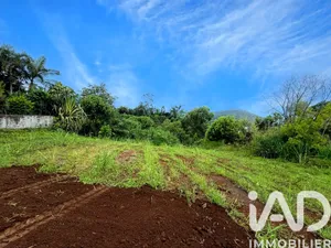 Building plot in Saint-Pierre (97410)