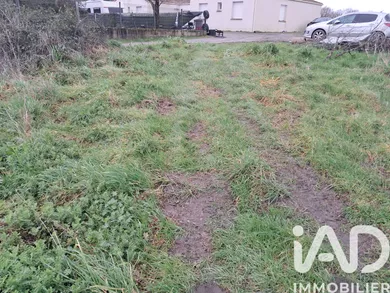 Terrain à Corcoué-sur-Logne (44650)